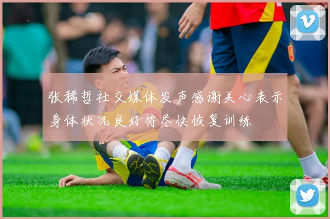 张稀哲社交媒体发声感谢关心表示身体状况良好将尽快恢复训练