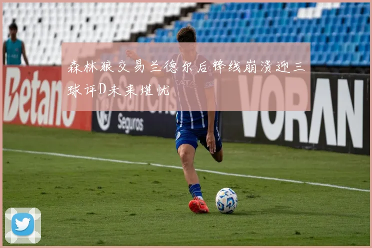 森林狼交易兰德尔后锋线崩溃迎三球评D未来堪忧