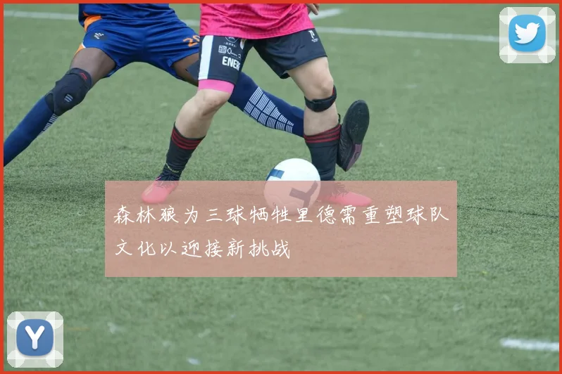 森林狼为三球牺牲里德需重塑球队文化以迎接新挑战